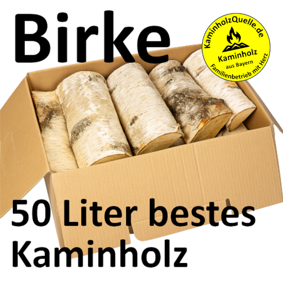Kaminholz Birke