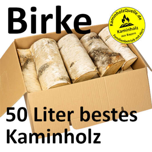 Kaminholz Birke